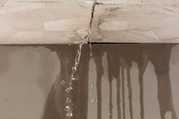 Professional Structural Drying technician working in Haydenville, OH